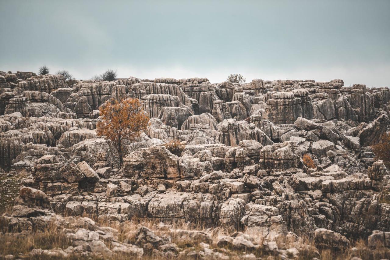 Odom Retreat 호텔 Mzaar Kfardebian 외부 사진